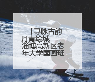 寻脉古韵 丹青绘城——淄博高新区老年大学国画班走进章丘明水古城开展文化研学活动
